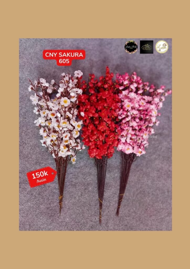 whatsapp image 2026 01 15 at 7.20.13 pm (1)