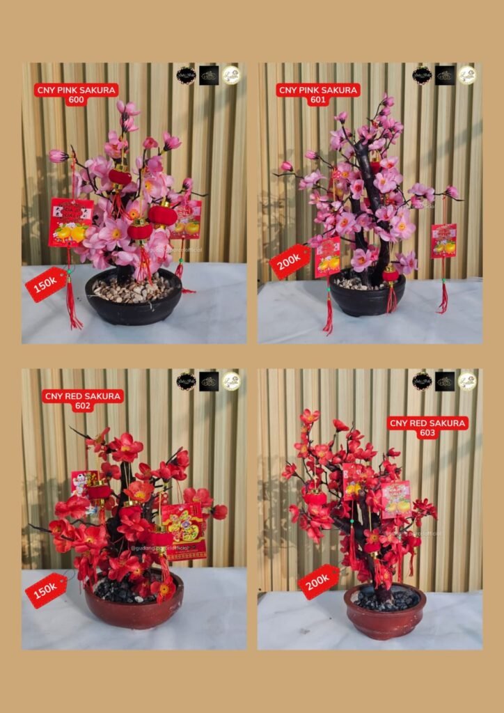 whatsapp image 2026 01 15 at 7.20.13 pm