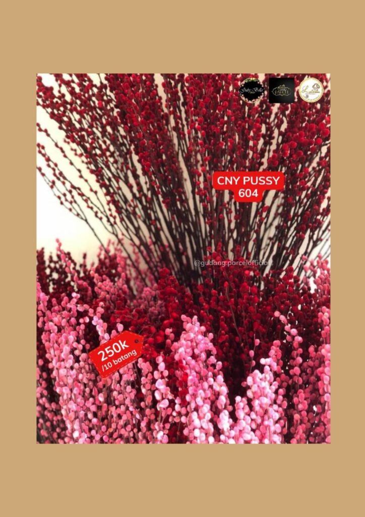 whatsapp image 2026 01 15 at 7.20.14 pm (1)